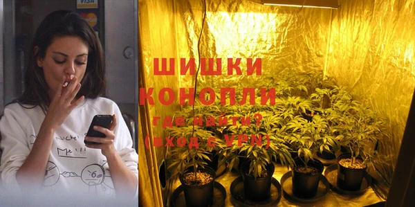 гашик Медвежьегорск