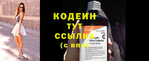 гашик Медвежьегорск