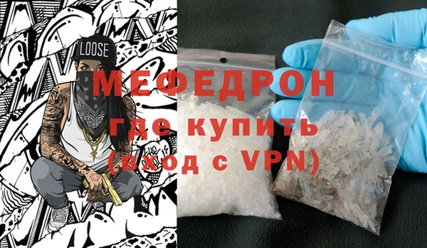 индика Кадников