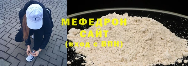 индика Кадников