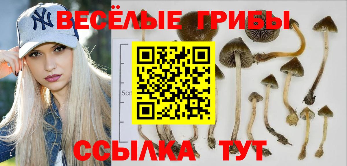 Псилоцибиновые грибы мицелий Майский