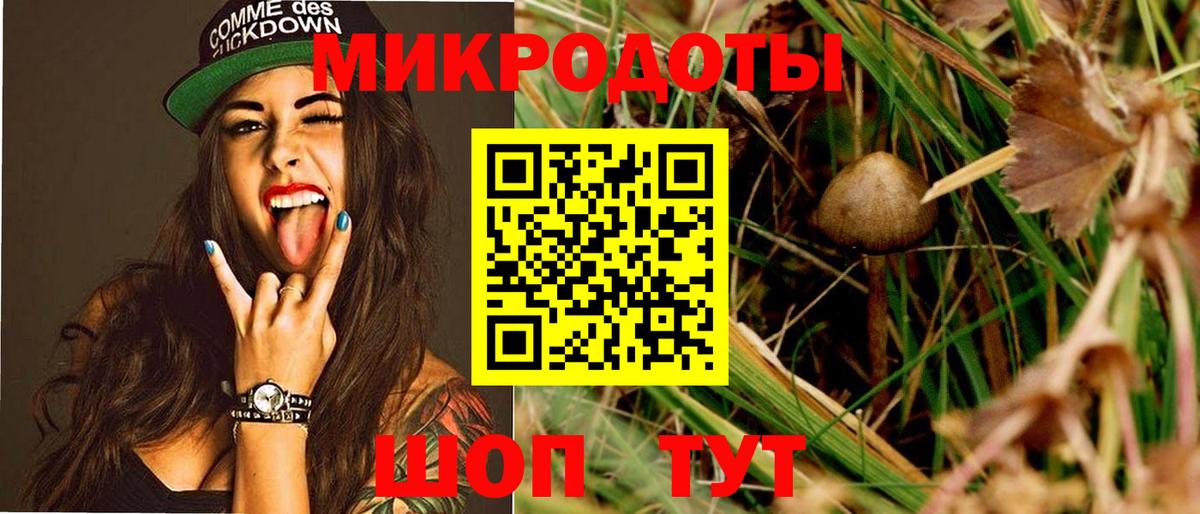 Галлюциногенные грибы Psilocybe  Галлюциногенные грибы ЛСД  где можно купить наркотик  Майский  Вход с VPN 